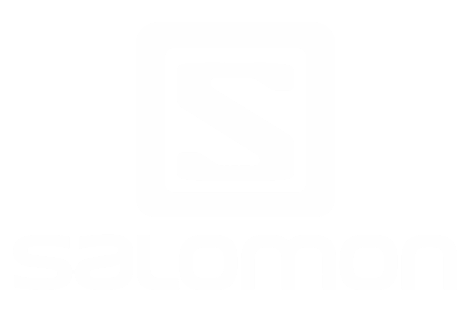 Logo Salomon